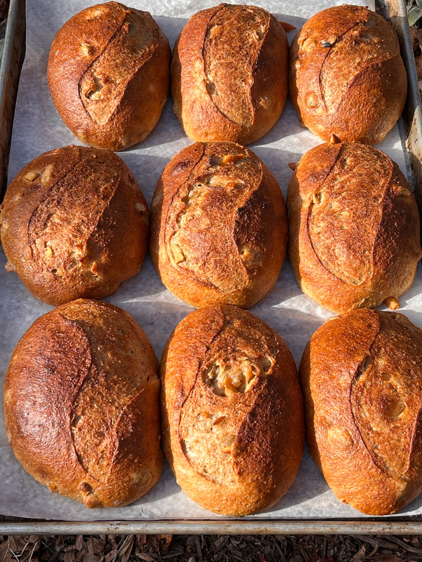Roasted Orange Martini Bread