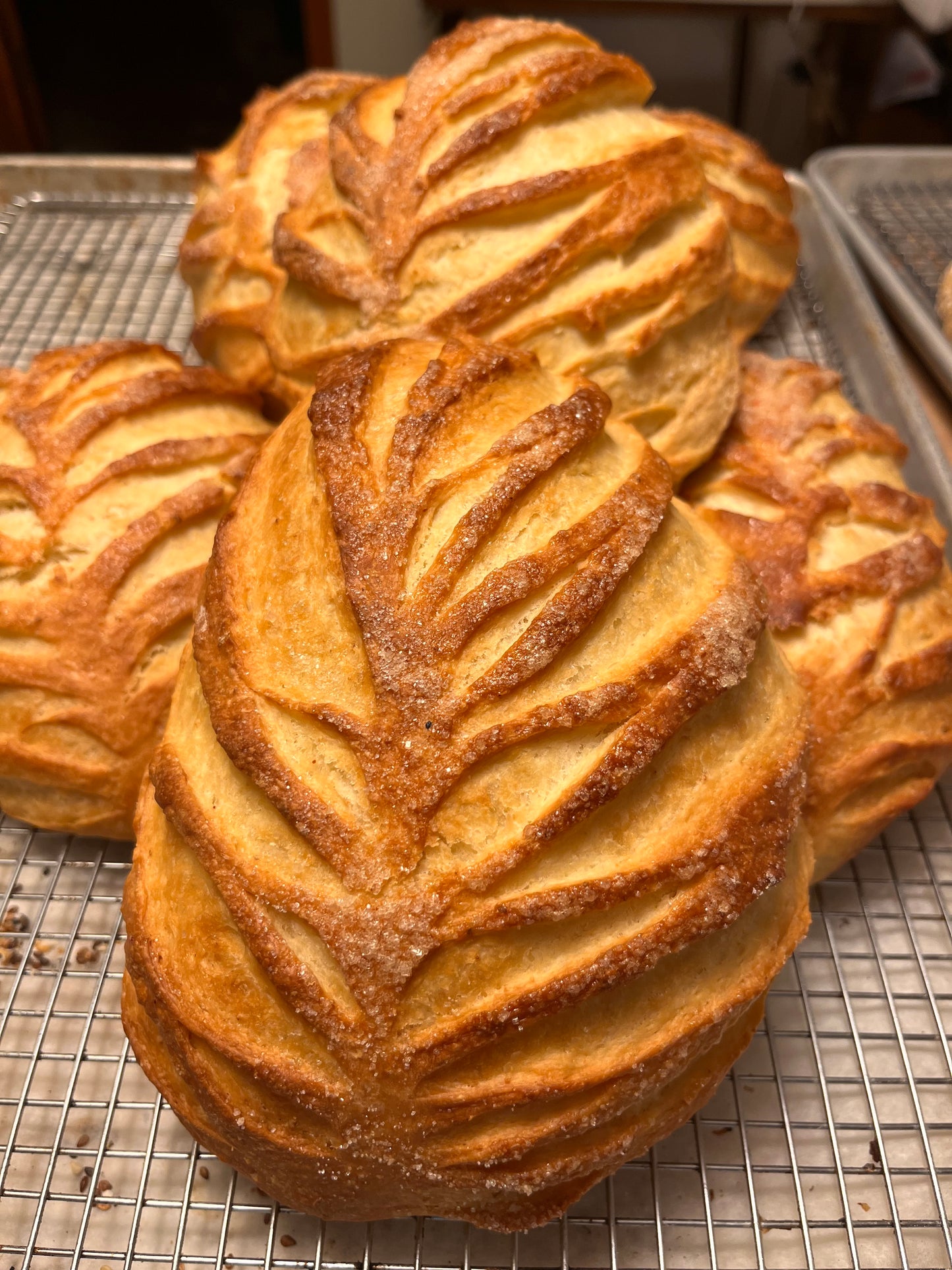 Croissant Bread